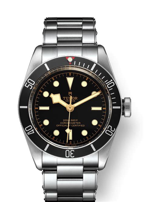 tudor 79230n-0009|tudor black bay lug to.